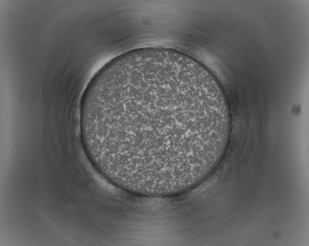 X0000091921079200709261637