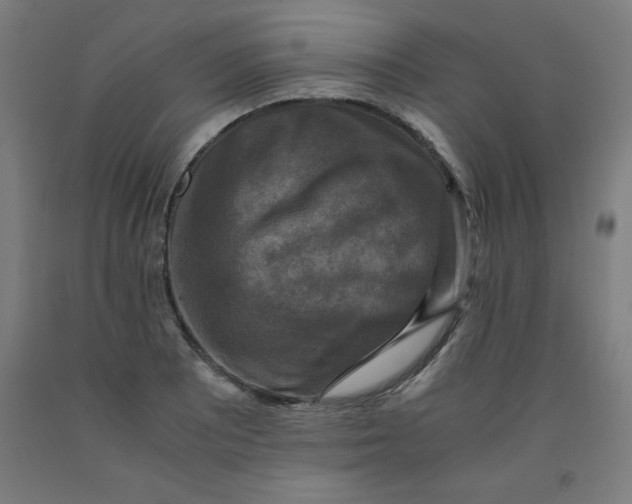 X0000091921081200709261637