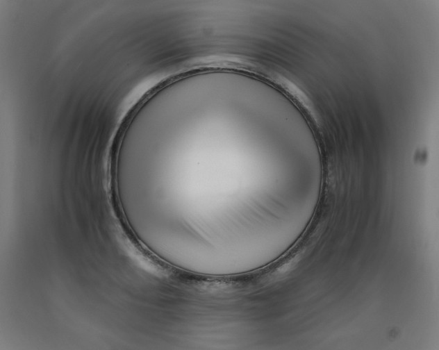 X0000091921082200709261637