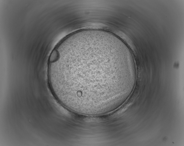 X0000091921083200709261637