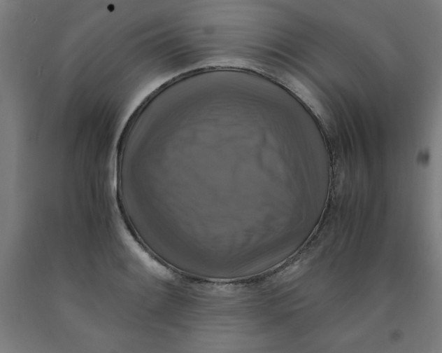 X0000091921084200709261637