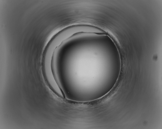 X0000091921085200709261637