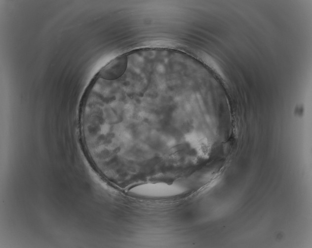 X0000091921087200709261637