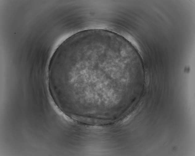 X0000091921088200709261637