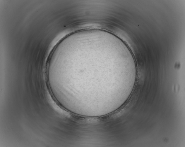 X0000091921090200709261637