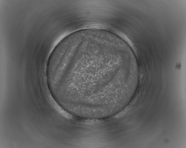 X0000091921091200709261637