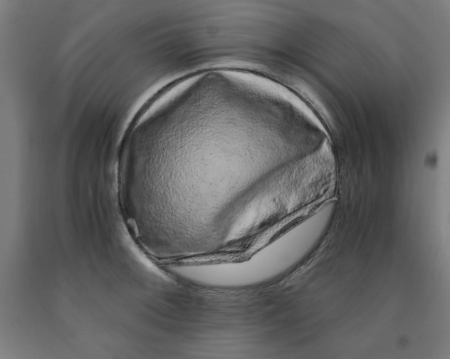 X0000091921092200709261637