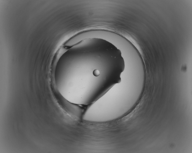 X0000091921093200709261637