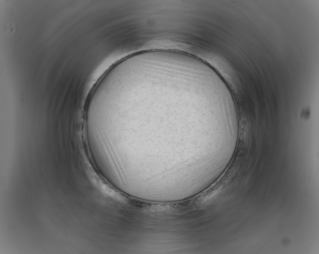 X0000091921094200709261637