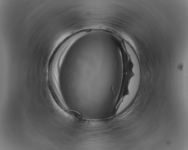 X0000091921095200709261637