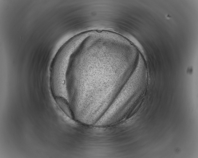 X0000091921096200709261637