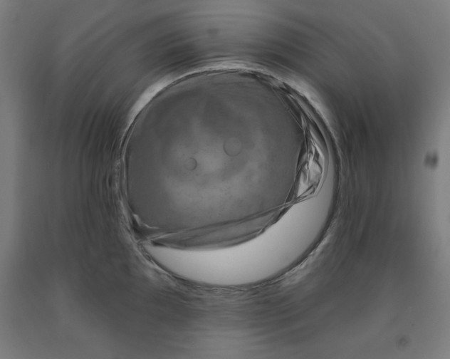 X0000091921097200709261637