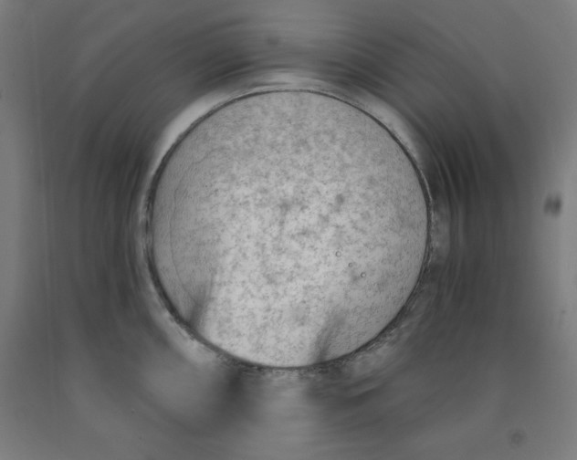 X0000091921098200709261637