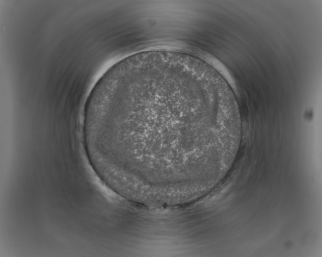 X0000091921099200709261637