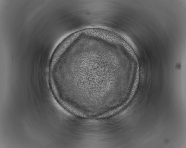 X0000091921100200709261637