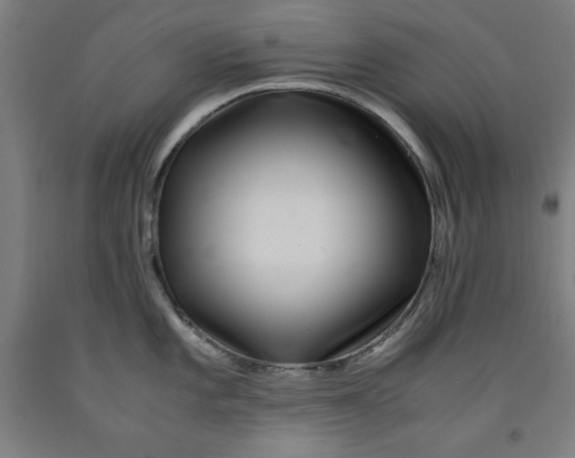 X0000091921101200709261636