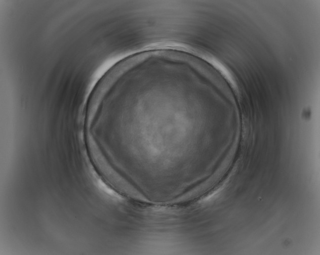 X0000091921102200709261636