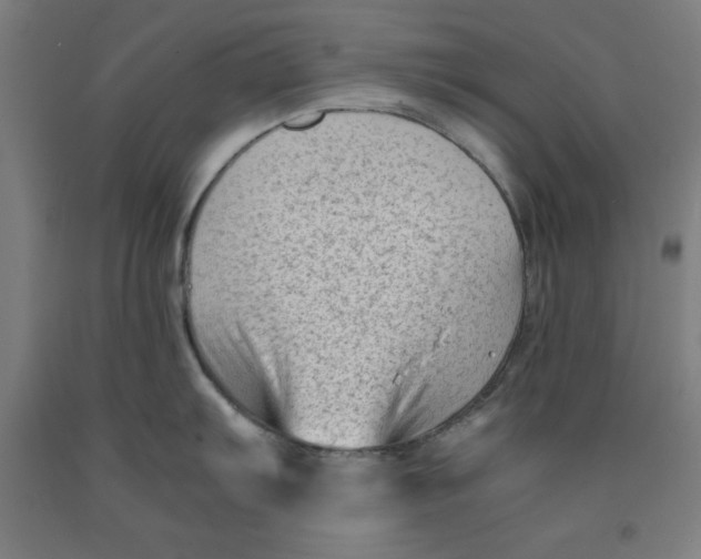 X0000091921103200709261636