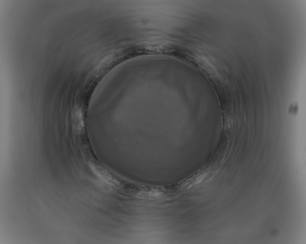 X0000091921106200709261636