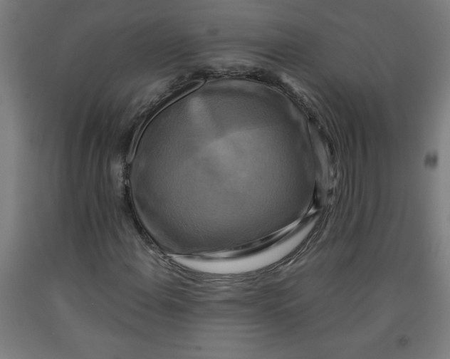 X0000091921108200709261636