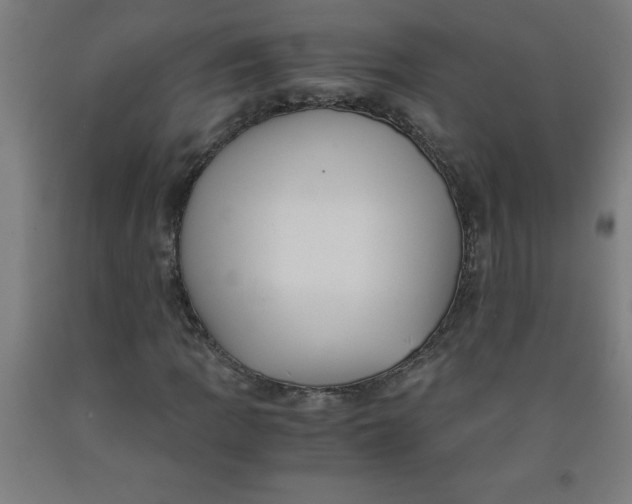 X0000091921109200709261636