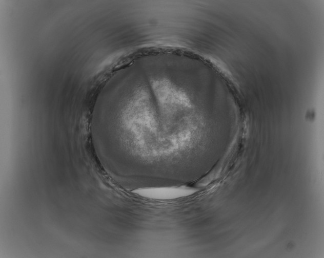 X0000091921110200709261636