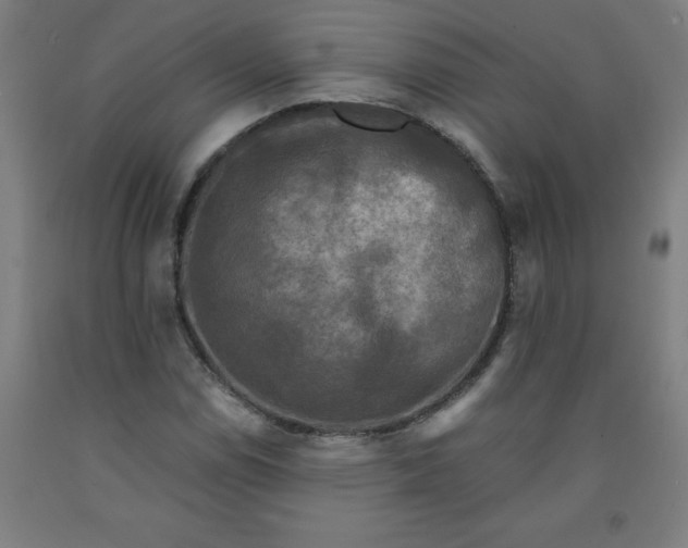 X0000091921114200709261636