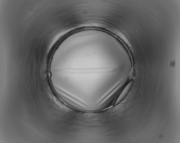 X0000091921116200709261636