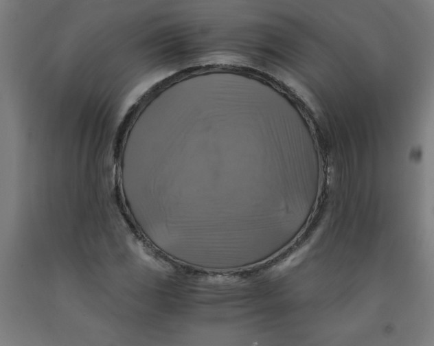 X0000091921117200709261636