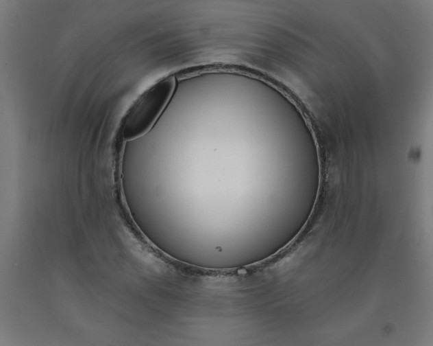 X0000091921118200709261636