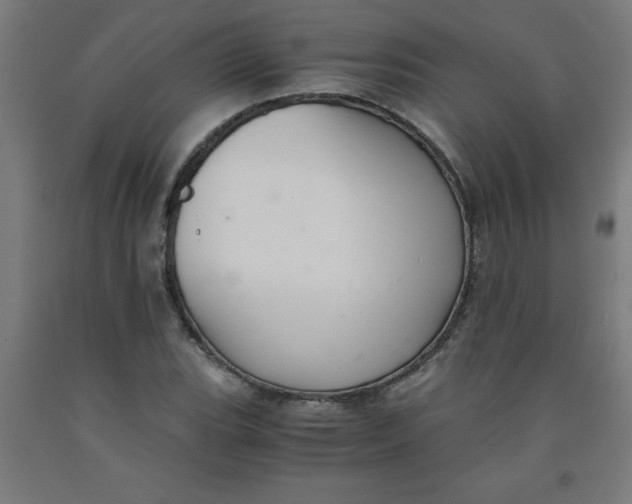 X0000091921119200709261636