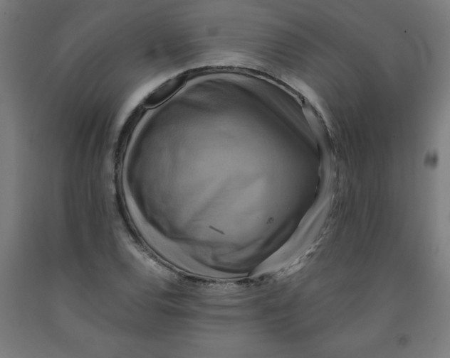 X0000091921120200709261636