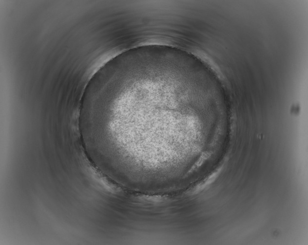 X0000091921121200709261636