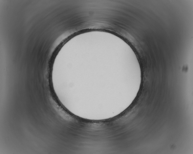 X0000091921122200709261636