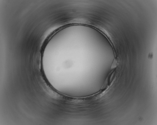 X0000091921123200709261636