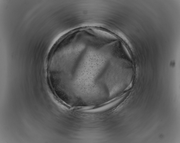 X0000091921124200709261636