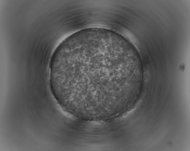 X0000091921125200709261636