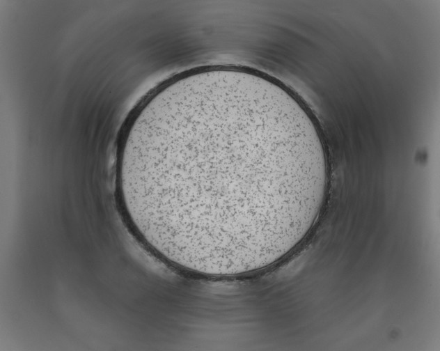 X0000091921126200709261636