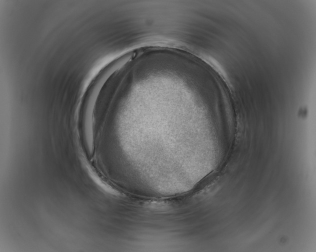 X0000091921128200709261636