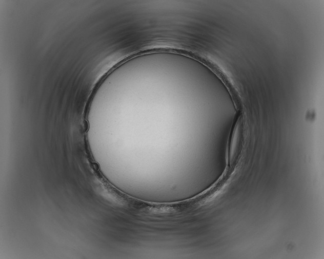 X0000091921129200709261636