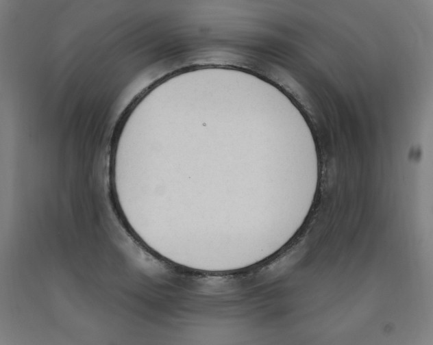 X0000091921130200709261636