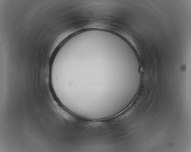 X0000091921131200709261636