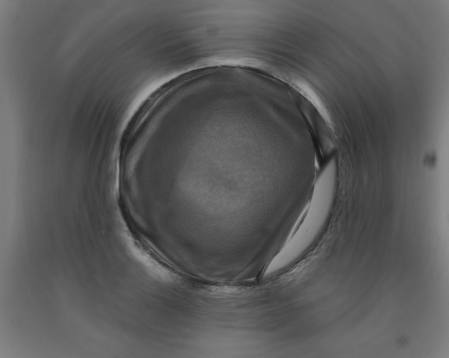 X0000091921132200709261636