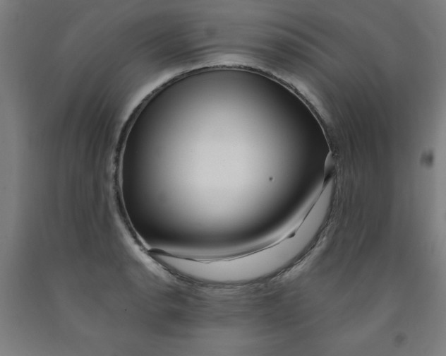 X0000091921134200709261636