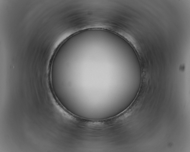 X0000091921135200709261636