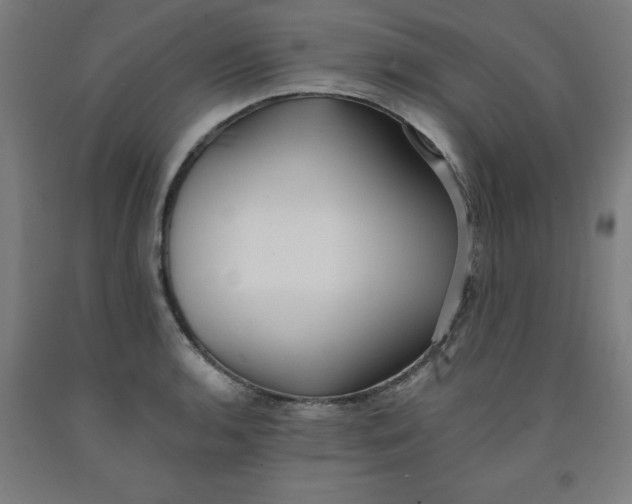 X0000091921136200709261636