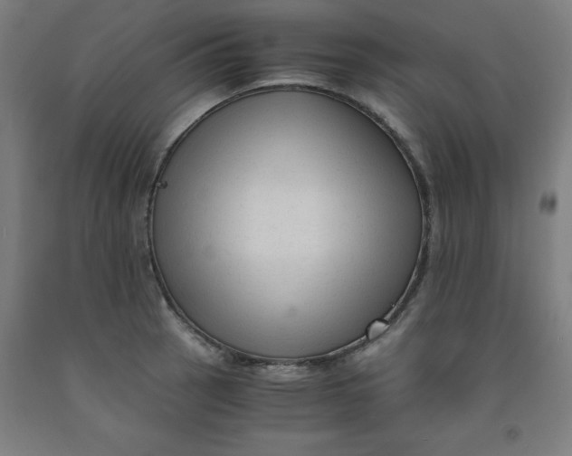 X0000091921137200709261636