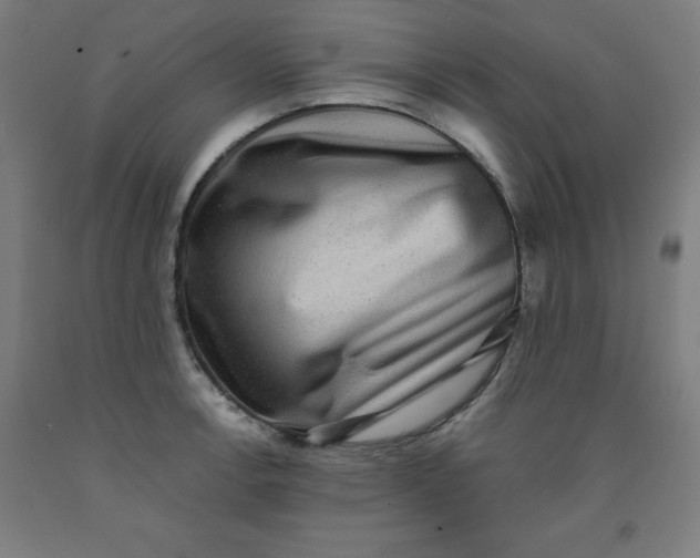 X0000091921138200709261636