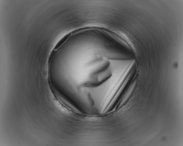 X0000091921140200709261636