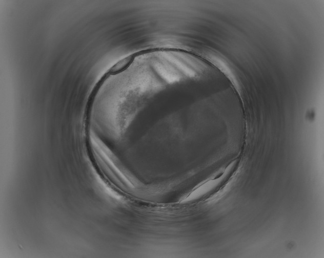 X0000091921141200709261636